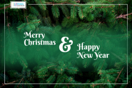 Sustainable Holiday