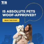 Absolute Pets Review