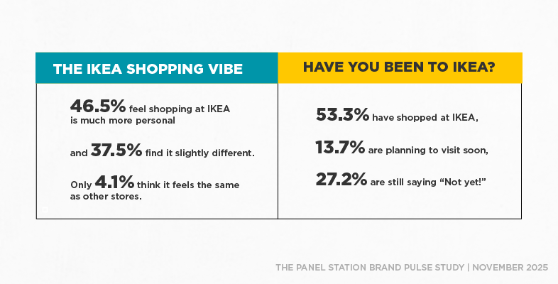 Have You Shopped at IKEA