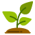 Sustainable Living